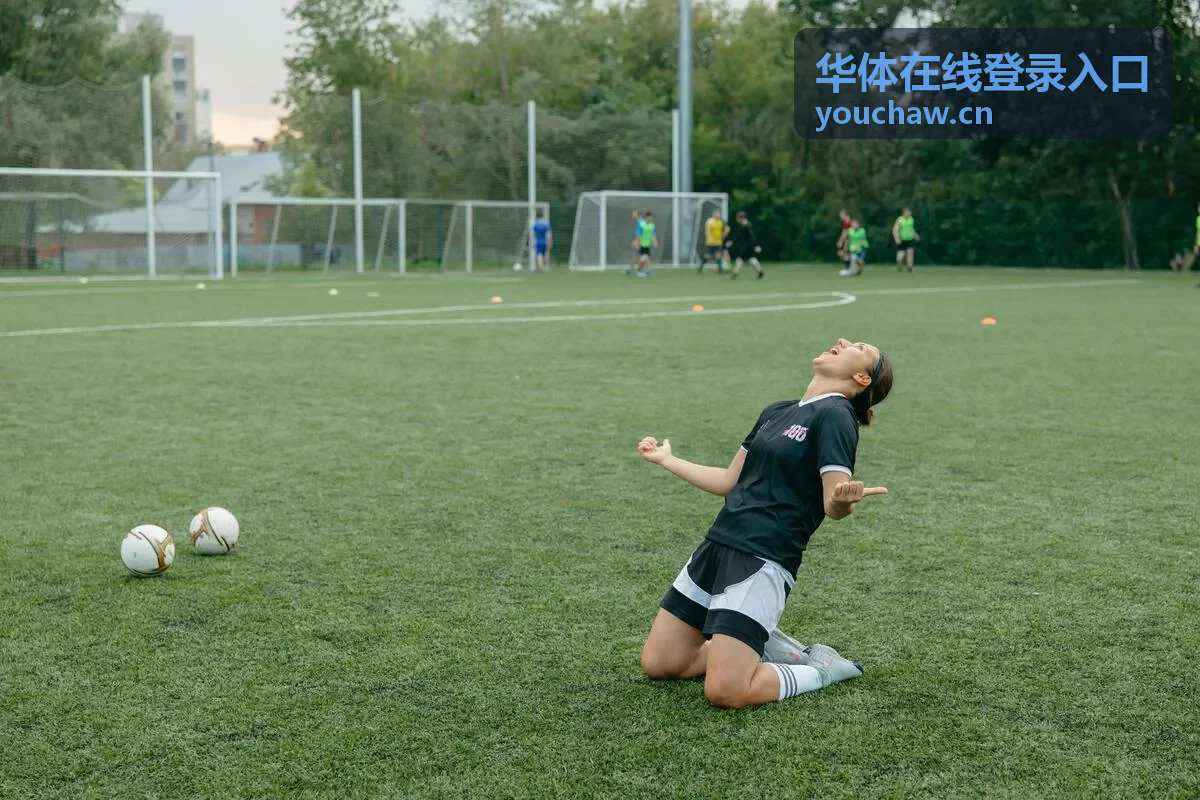 华体在线登录入口的账号验证与通道选择示意