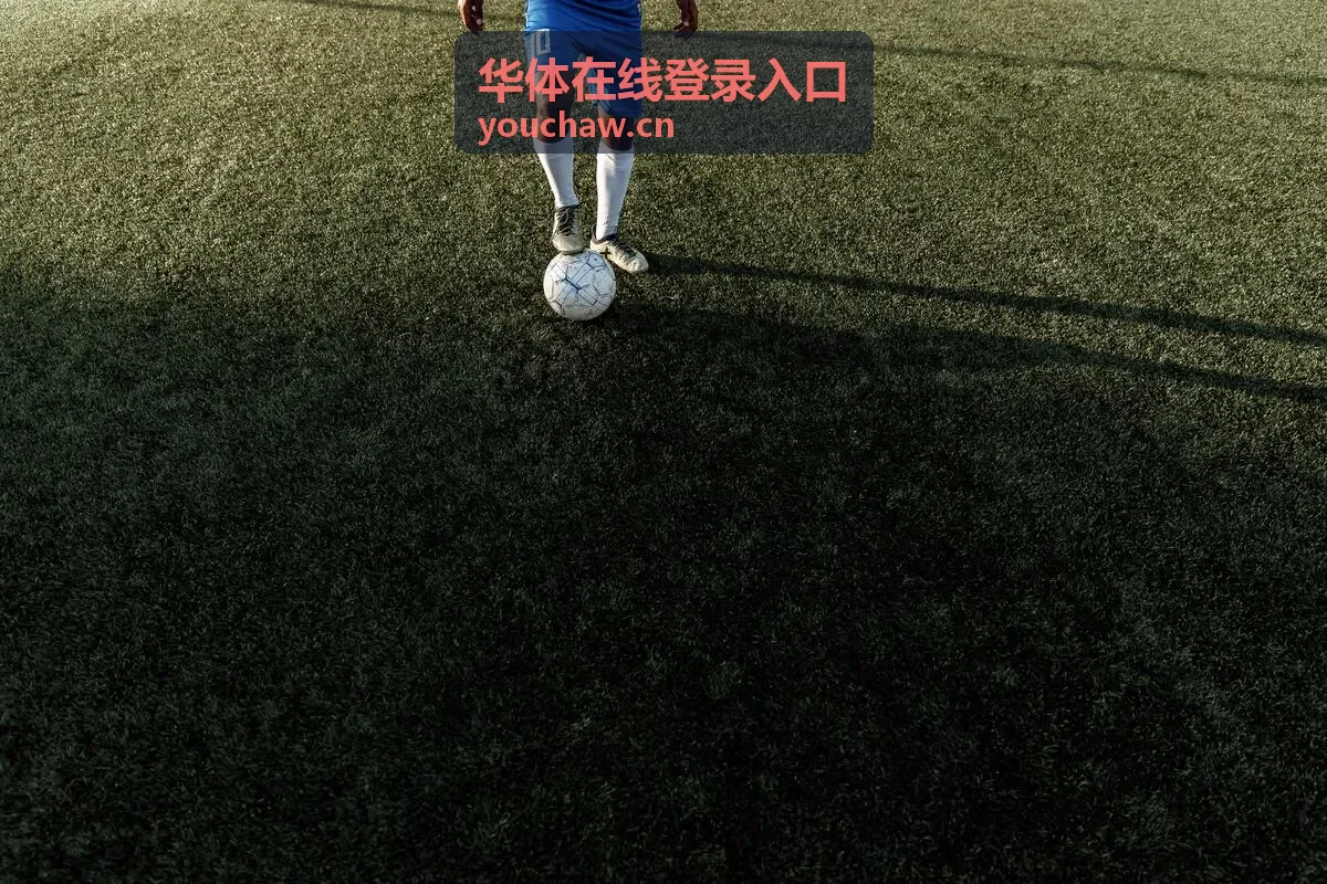华体在线登录入口账号安全设置与登录记录说明